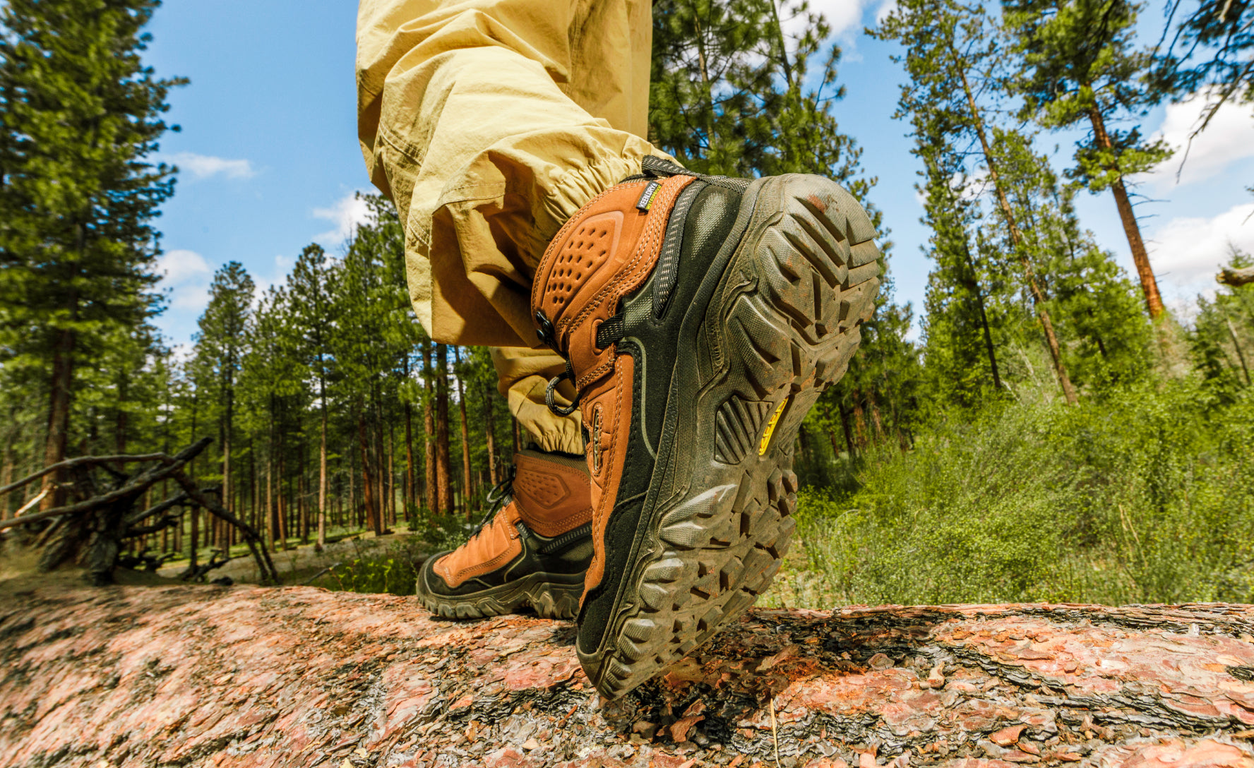 Men's Targhee IV Waterproof Hiking Boot | Bison/Black - Image 7